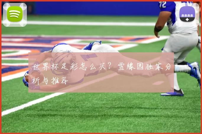 世界杯足彩怎么买？雪缘园独家分析与推荐