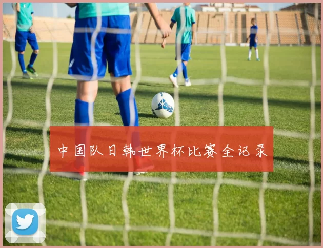 中国队日韩世界杯比赛全记录