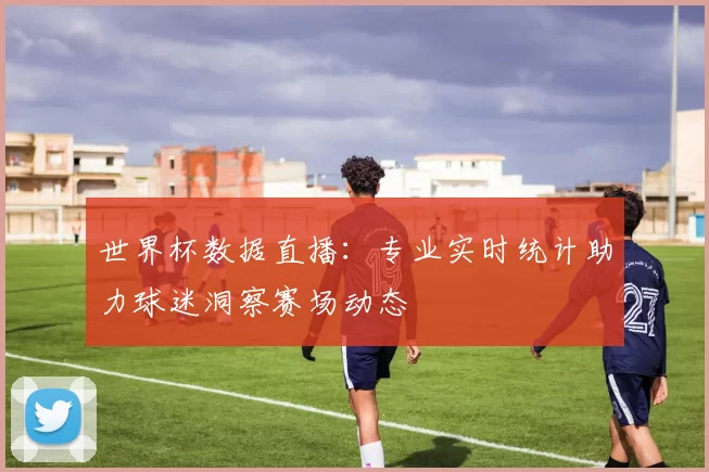 世界杯数据直播：专业实时统计助力球迷洞察赛场动态