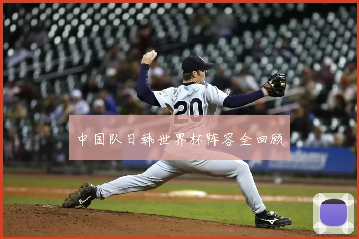 中国队日韩世界杯阵容全回顾