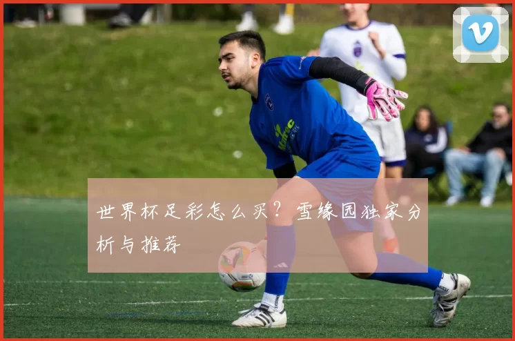 世界杯足彩怎么买?雪缘园独家分析与推荐