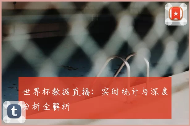 世界杯数据直播:实时统计与深度分析全解析