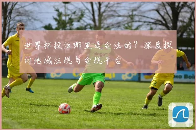 世界杯投注哪里是合法的？深度探讨地域法规与合规平台