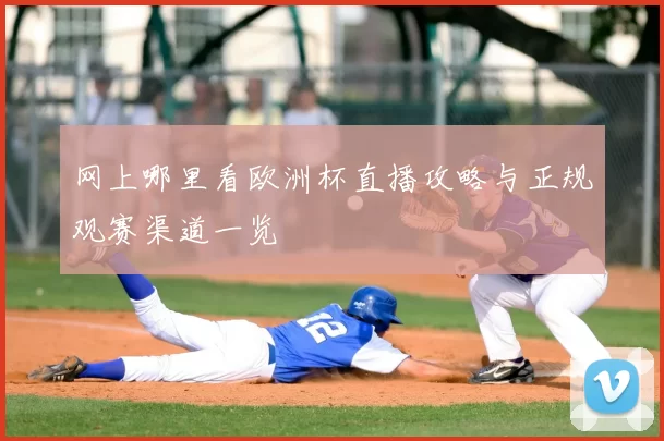 网上哪里看欧洲杯直播攻略与正规观赛渠道一览