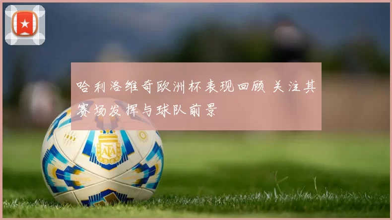 哈利洛维奇欧洲杯表现回顾 关注其赛场发挥与球队前景