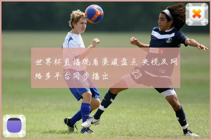 世界杯直播观看渠道盘点 央视及网络多平台同步播出