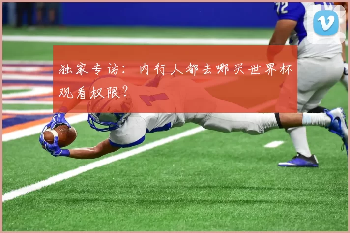 独家专访:内行人都去哪买世界杯观看权限?
