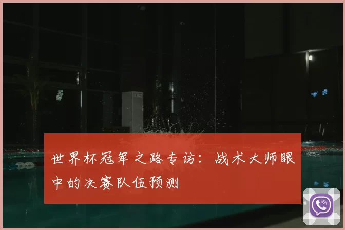 世界杯冠军之路专访：战术大师眼中的决赛队伍预测