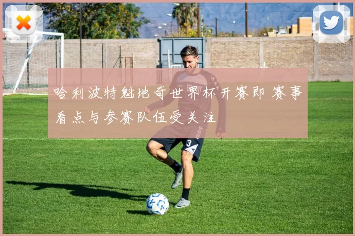 哈利波特魁地奇世界杯开赛即 赛事看点与参赛队伍受关注