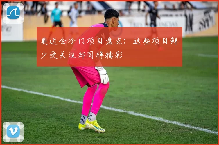 奥运会冷门项目盘点：这些项目鲜少受关注却同样精彩
